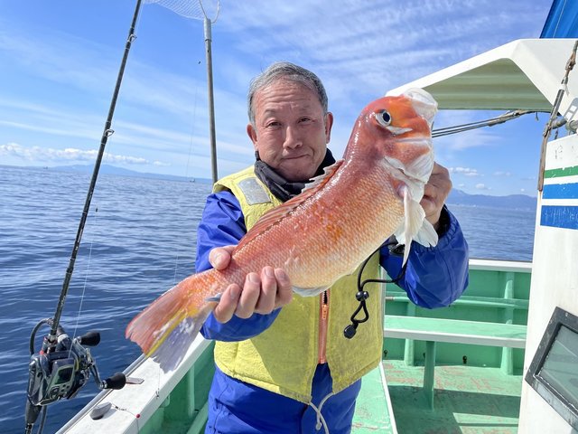 アマダイ(アカアマダイ)