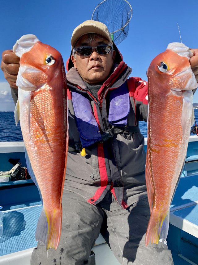 アマダイ(アカアマダイ)