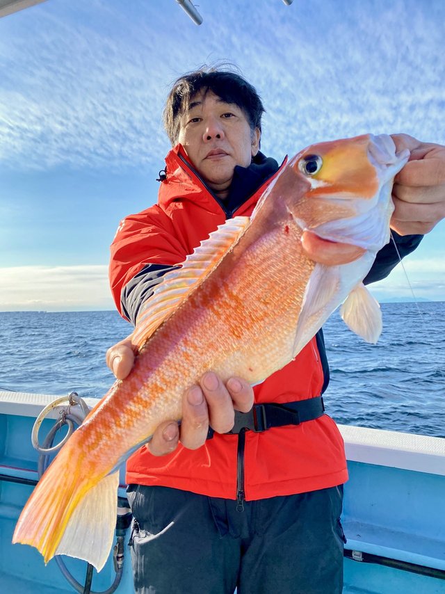 アマダイ(アカアマダイ)