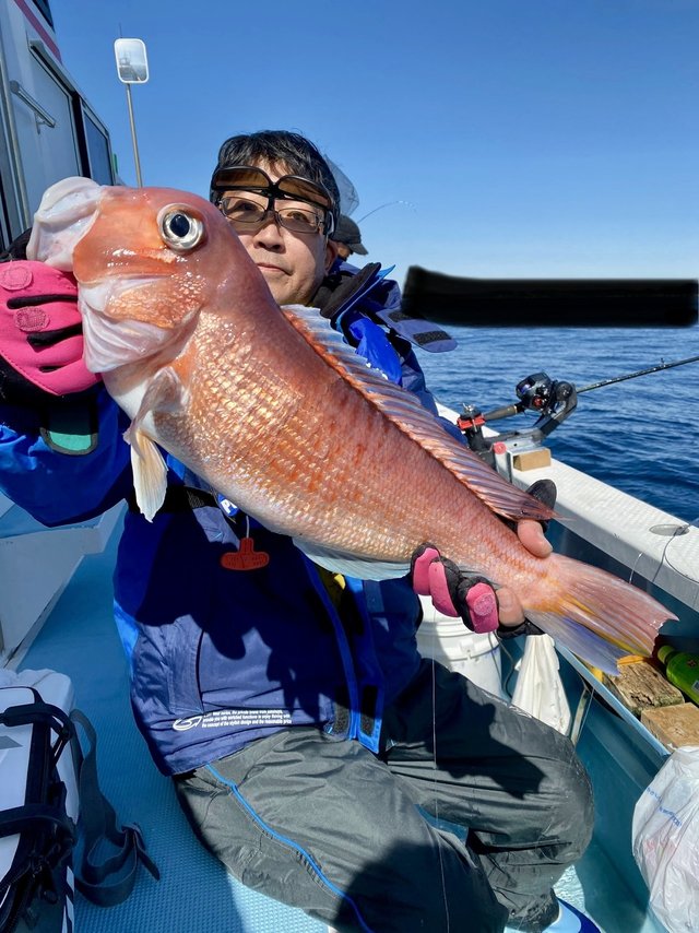 アマダイ(アカアマダイ)