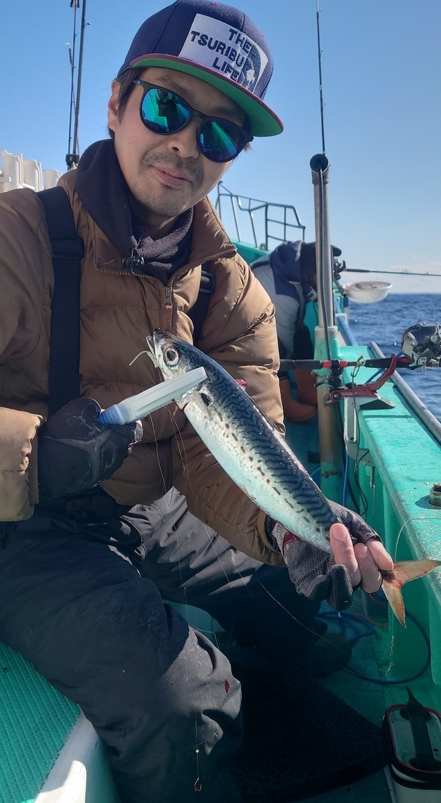 サバ(ゴマサバ)