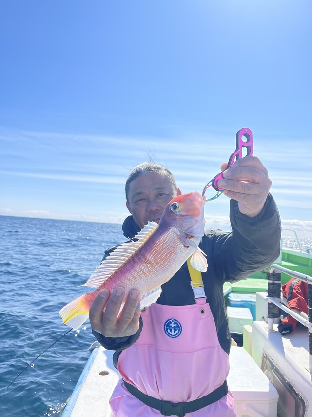 アマダイ(アカアマダイ)