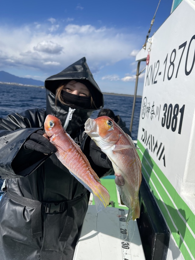 アマダイ(アカアマダイ)