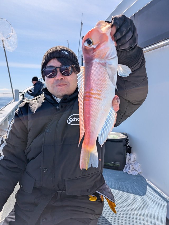 アマダイ(アカアマダイ)