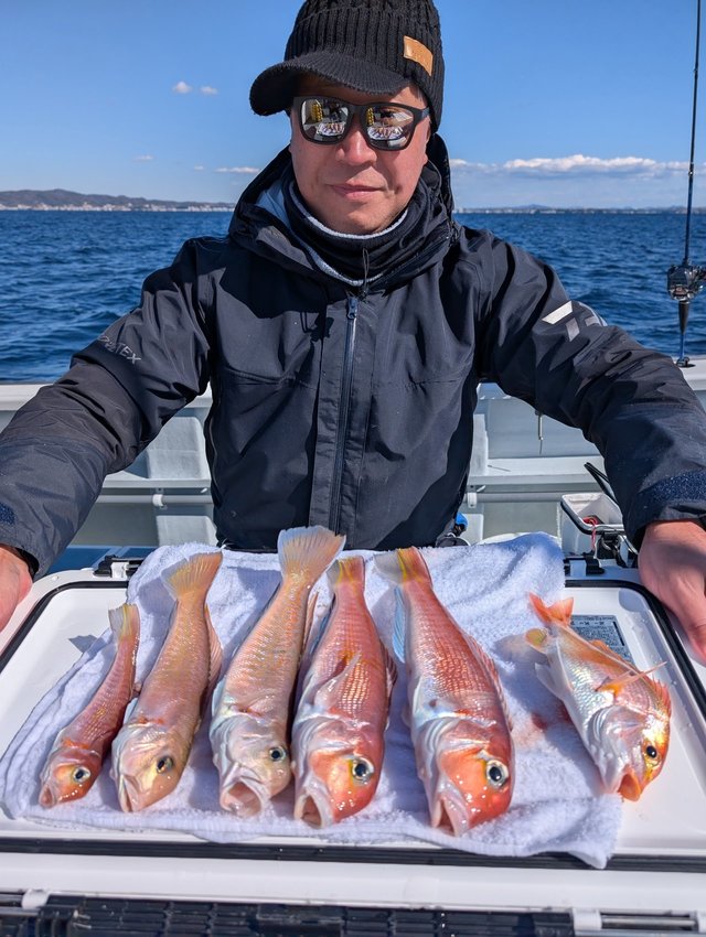 アマダイ(アカアマダイ)