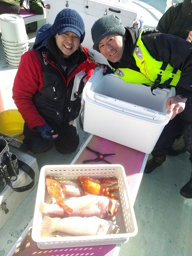 アマダイ(アカアマダイ)・シロアマダイ・アヤメカサゴ