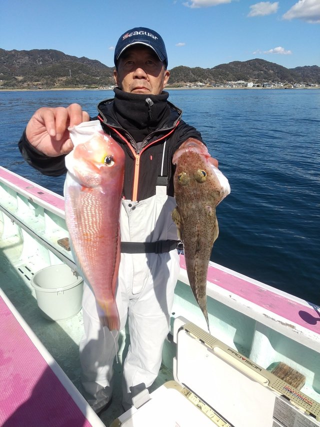 アマダイ(アカアマダイ)・コチ(マゴチ)