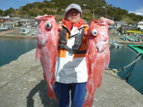 ベニアコウ(オオサガ)