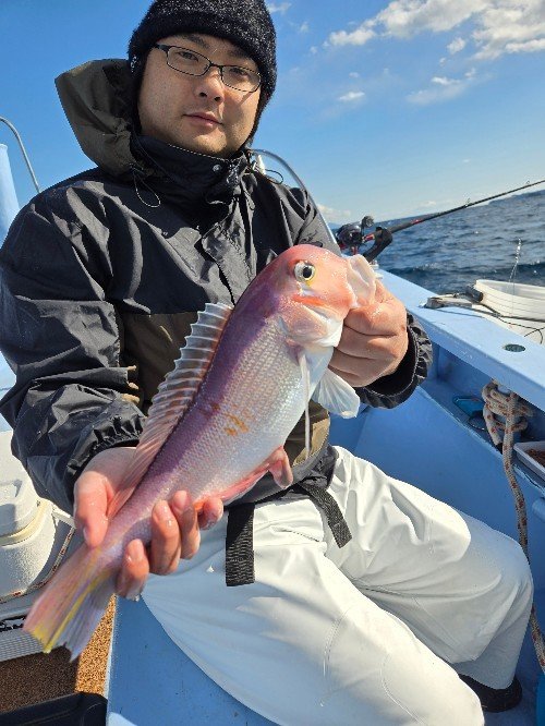 アマダイ(アカアマダイ)