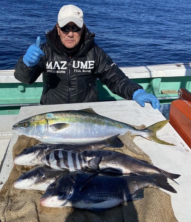 クロダイ・イシダイ・ワラサ(ブリ)
