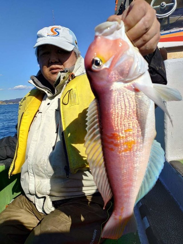 アマダイ(アカアマダイ)