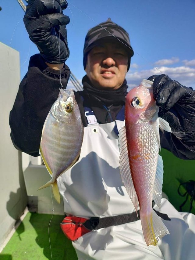 カイワリ・アマダイ(アカアマダイ)