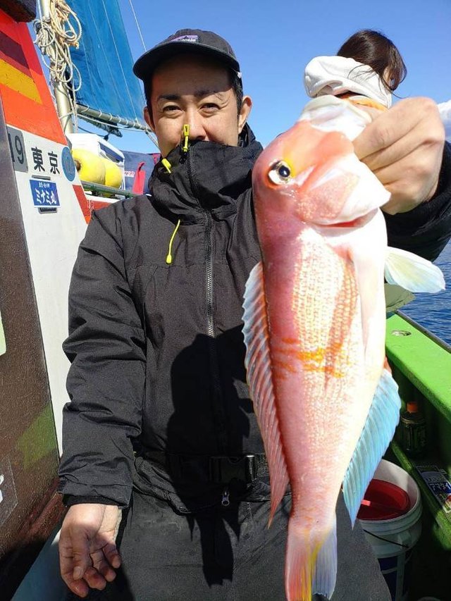 アマダイ(アカアマダイ)