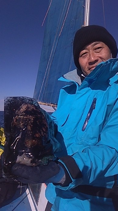 モンゴウイカ(カミナリイカ)