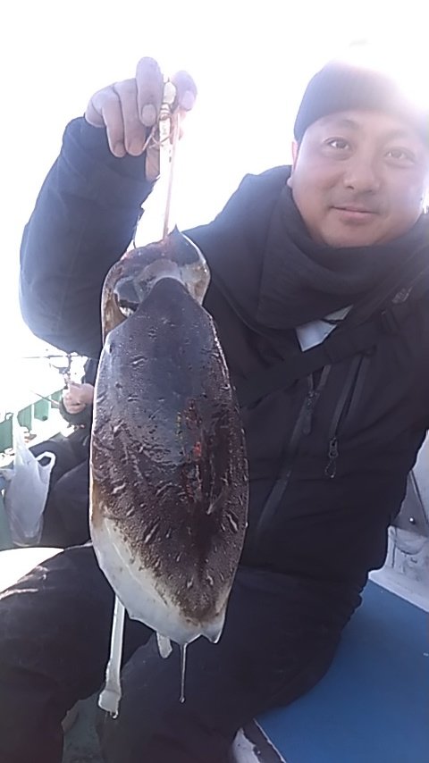 モンゴウイカ(カミナリイカ)