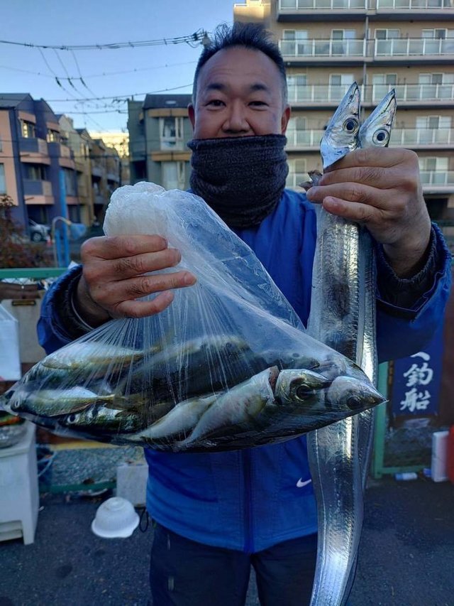 アジ(マアジ)・タチウオ