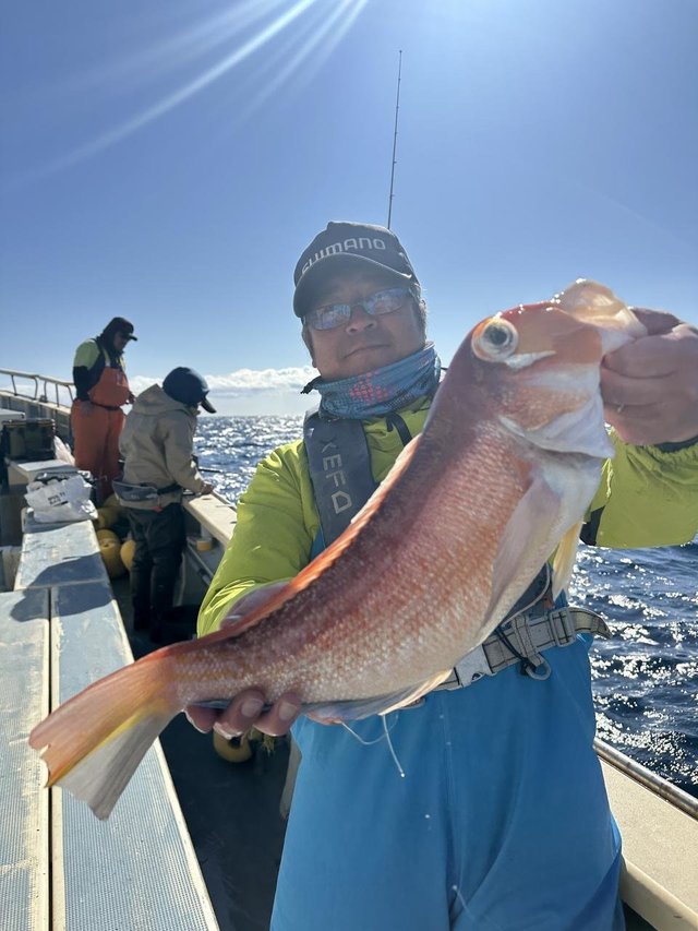 アマダイ(アカアマダイ)