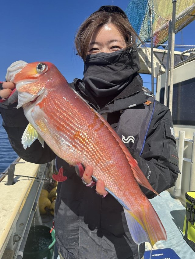 アマダイ(アカアマダイ)