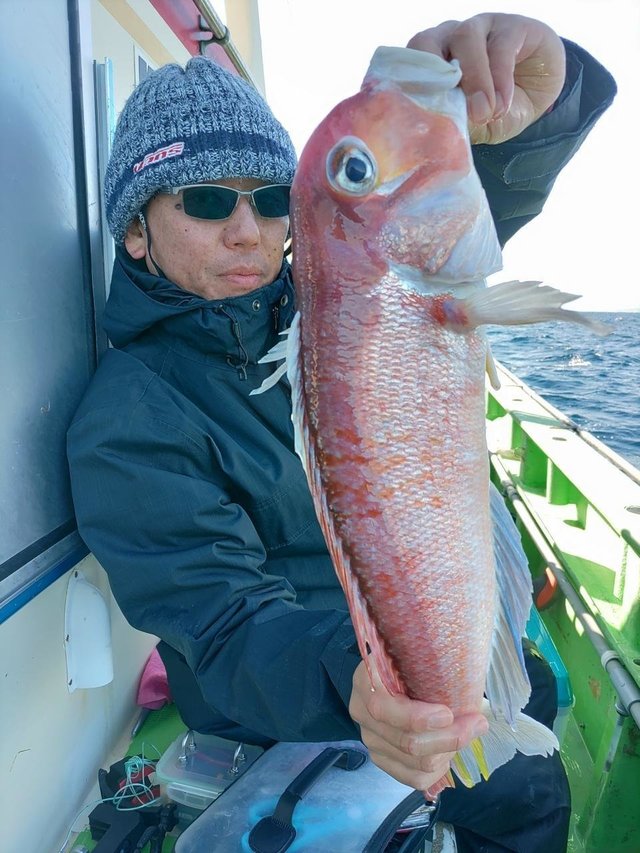 アマダイ(アカアマダイ)