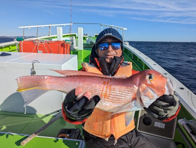 アマダイ(アカアマダイ)