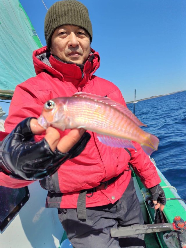 アマダイ(アカアマダイ)