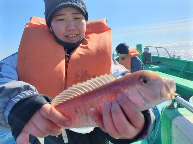 アマダイ(アカアマダイ)