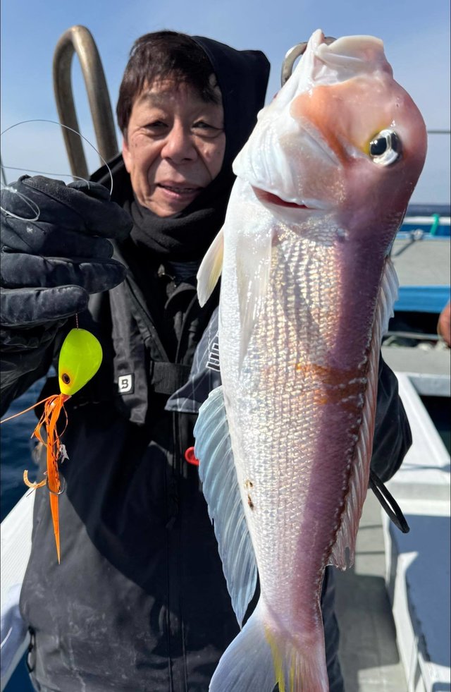 アマダイ(アカアマダイ)