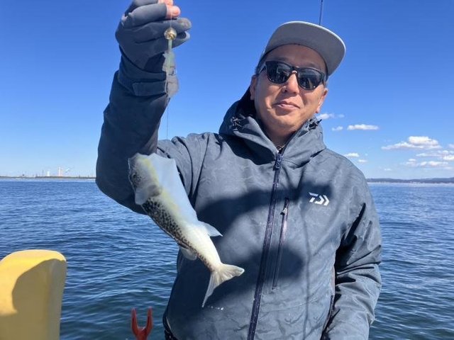 ショウサイフグ