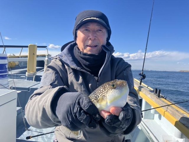 ショウサイフグ