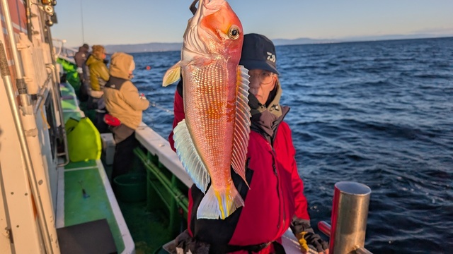 アマダイ(アカアマダイ)