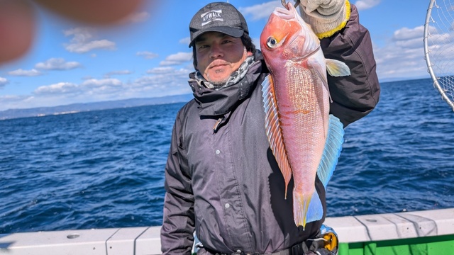 アマダイ(アカアマダイ)