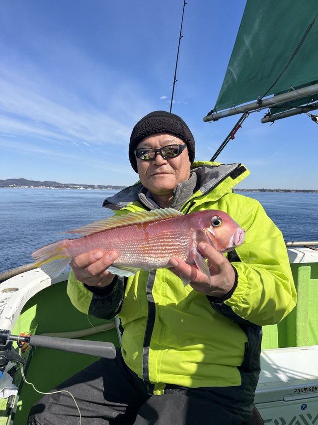 アマダイ(アカアマダイ)