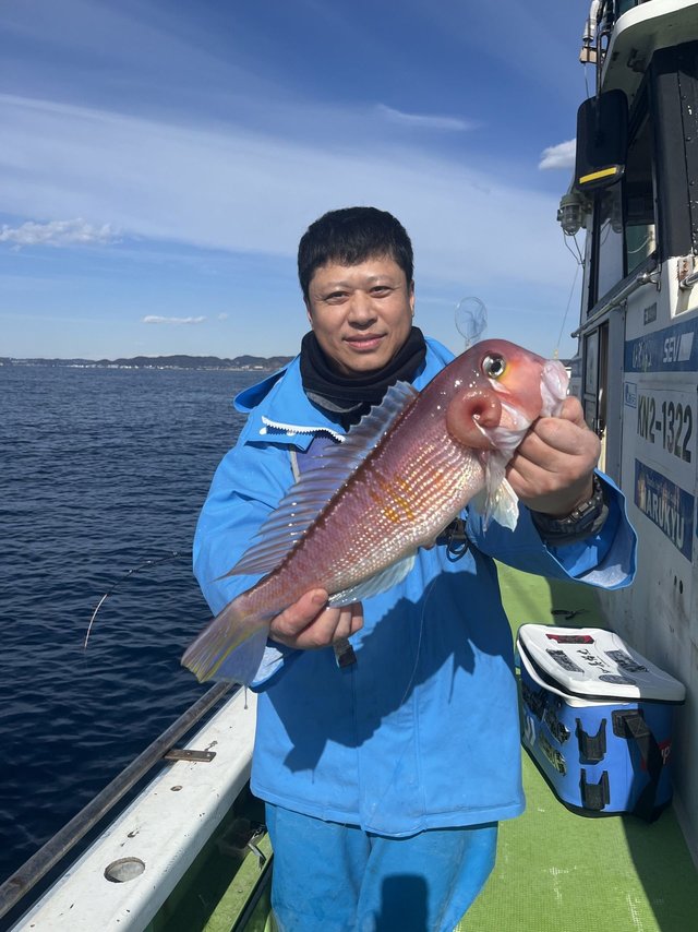 アマダイ(アカアマダイ)