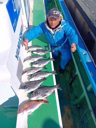 マダイ・クロダイ