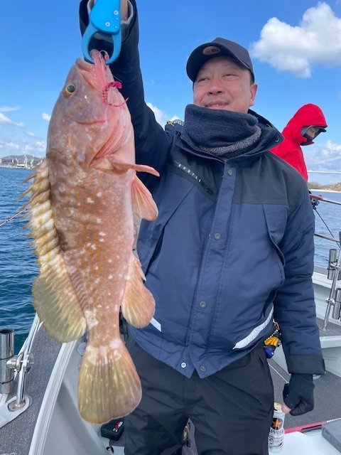 アコウ(キジハタ)