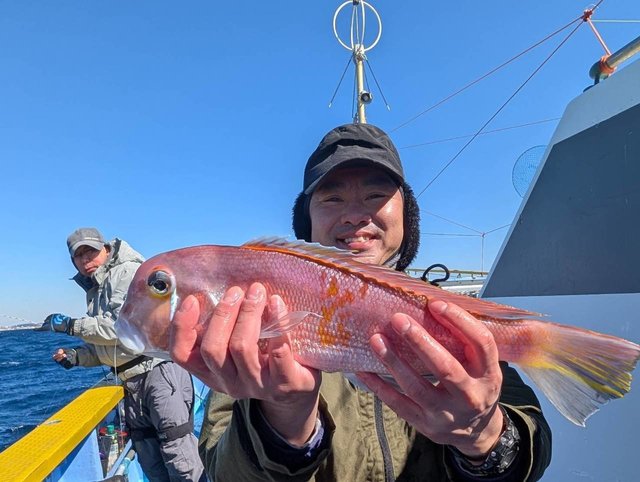 アマダイ(アカアマダイ)