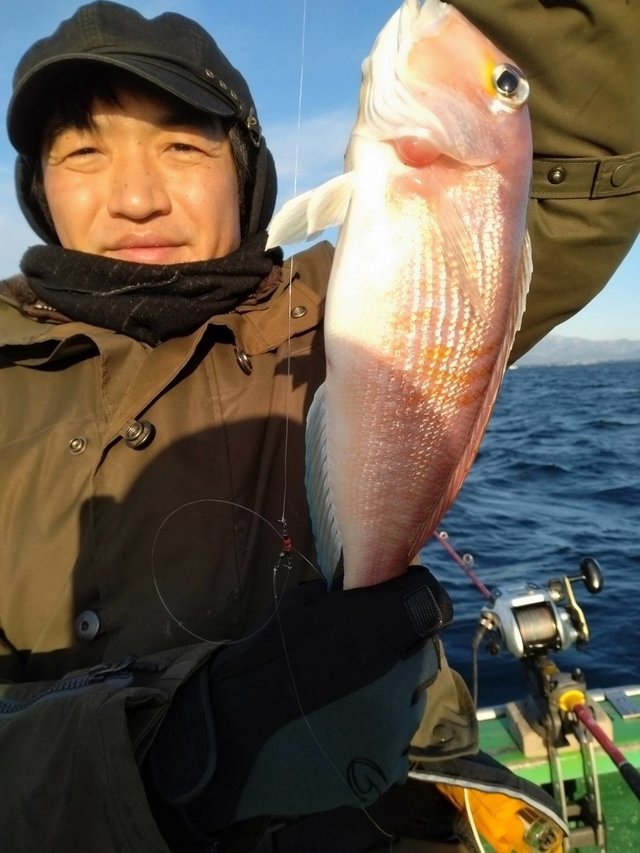 アマダイ(アカアマダイ)