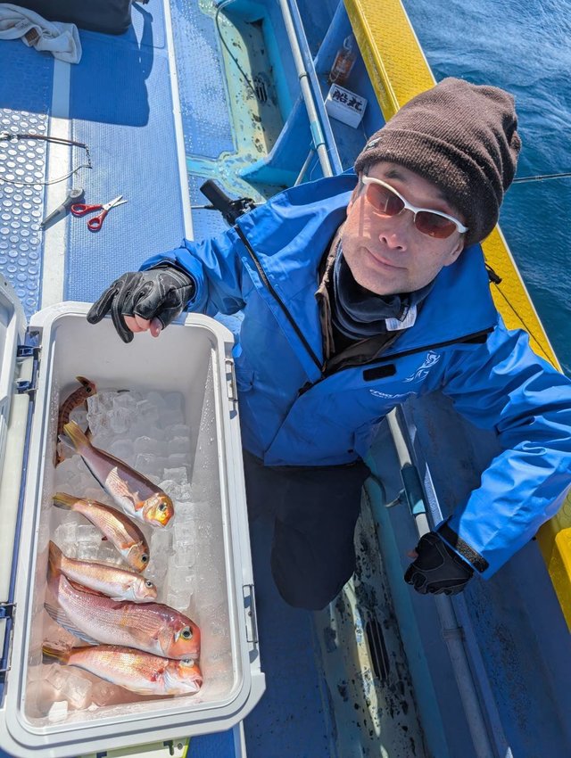 アマダイ(アカアマダイ)