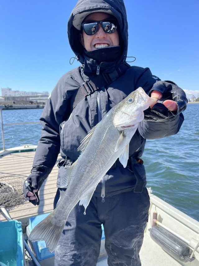 シーバス(スズキ)