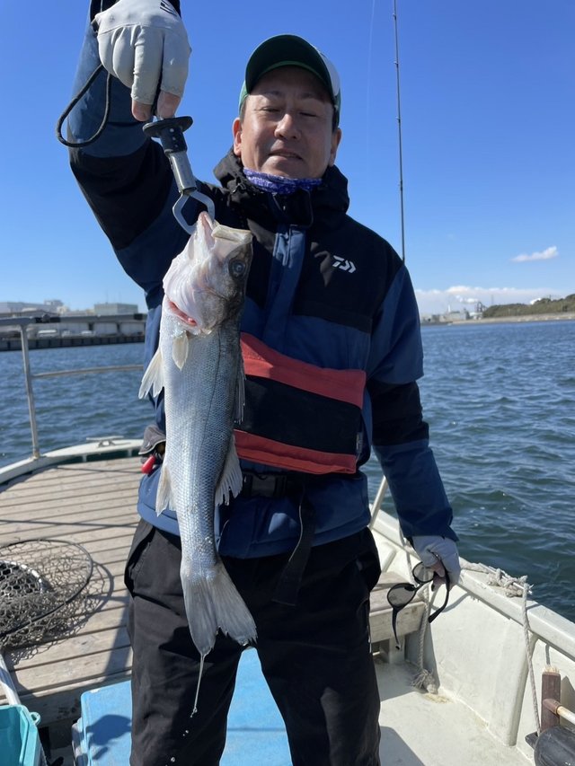 シーバス(スズキ)