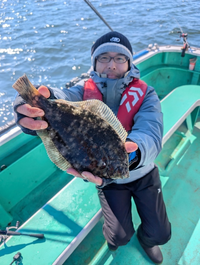 カレイ(マコガレイ)