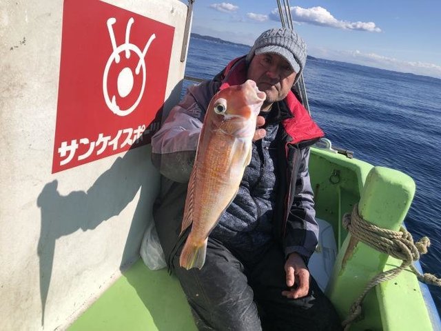 アマダイ(アカアマダイ)