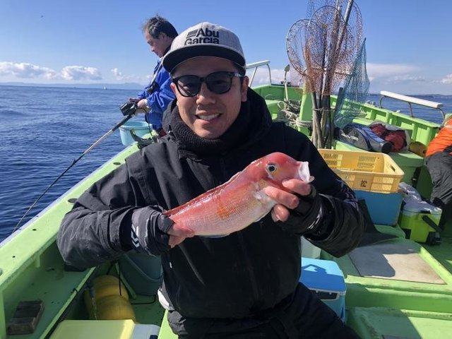 アマダイ(アカアマダイ)