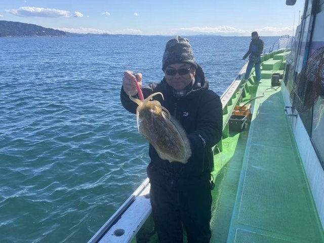 モンゴウ(カミナリイカ)