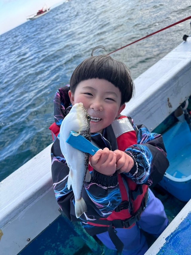 フグ(ショウサイフグ)