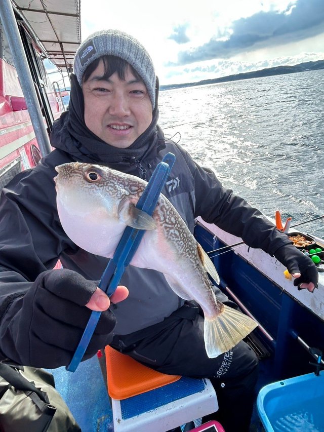 フグ(ショウサイフグ)