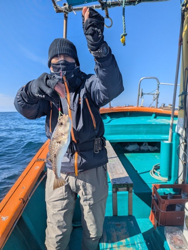 フグ(ショウサイフグ)