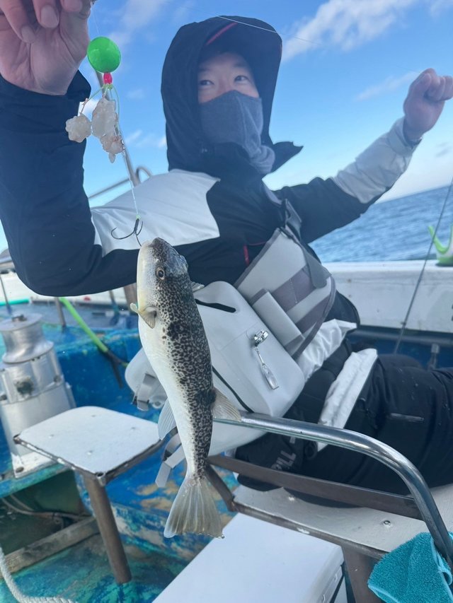 フグ(ショウサイフグ)