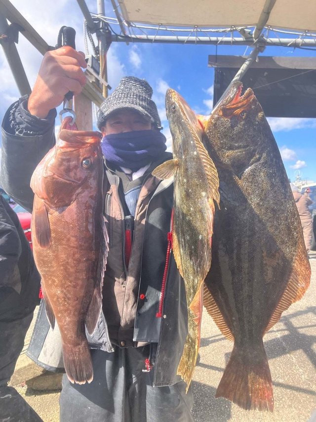 マハタ・ヒラメ