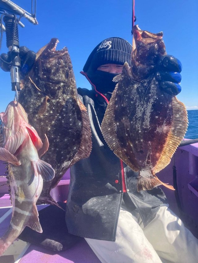 マハタ・ヒラメ